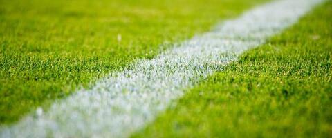 immagine campo