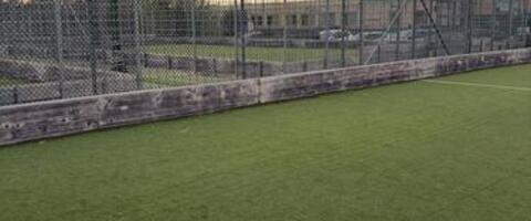 immagine campo